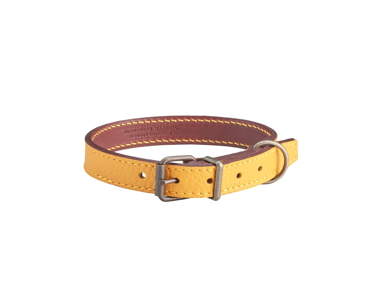 929.0 graine lisse safran sauvage
