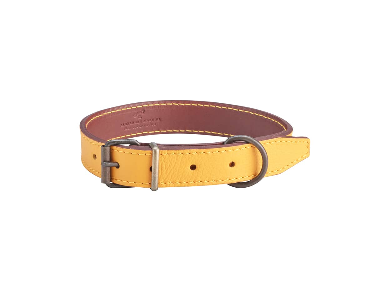 929.2 graine lisse safran sauvage