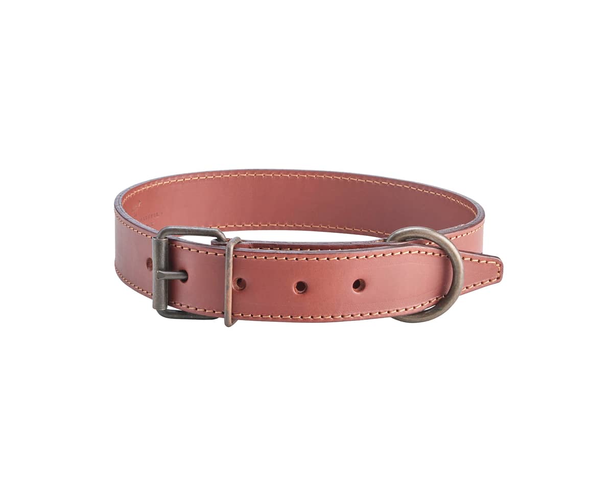 929.5 lisse sauvage