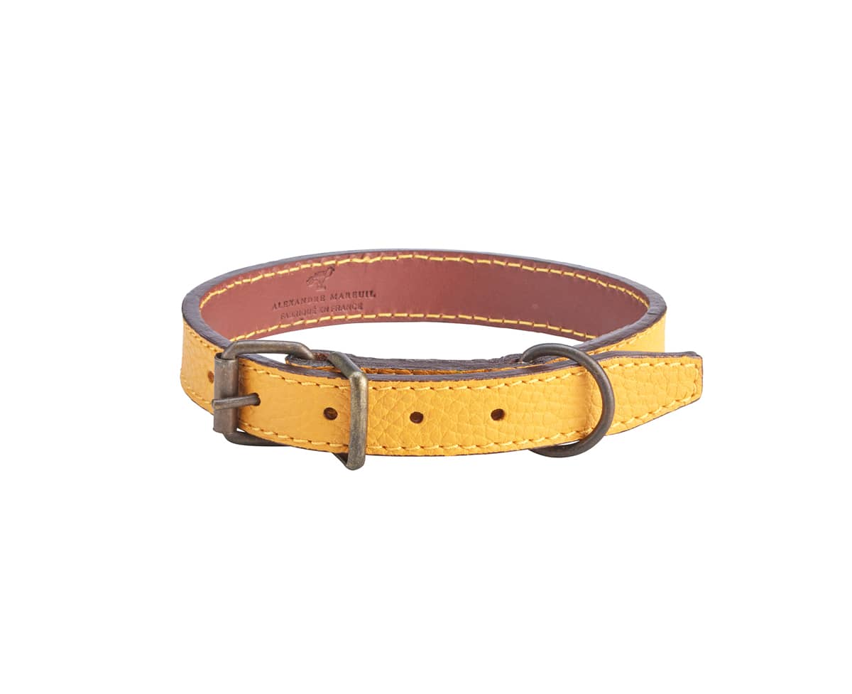 929.1 graine lisse safran sauvage