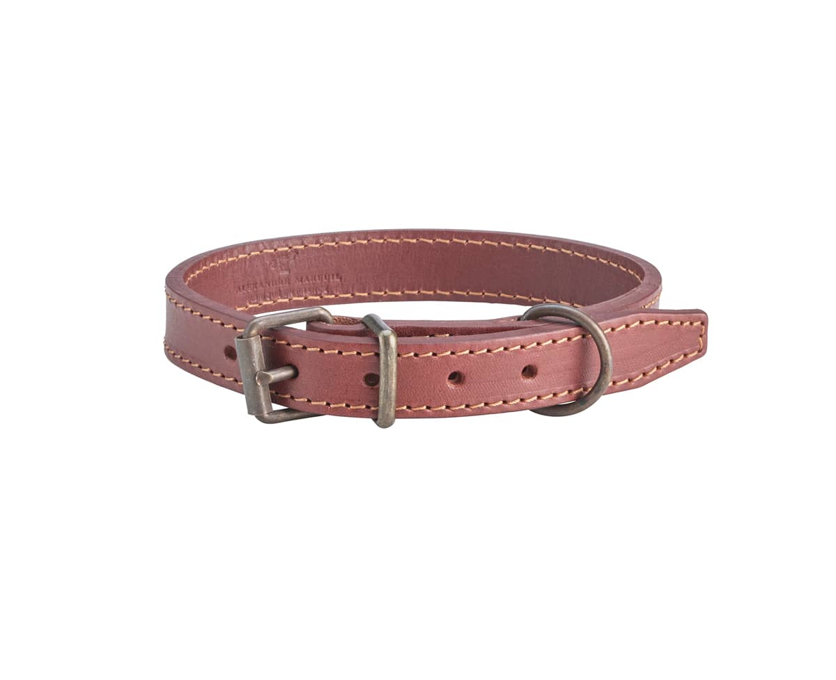 929.1 lisse sauvage