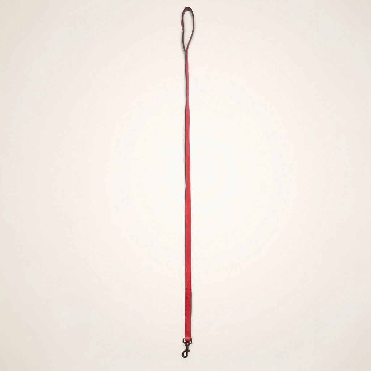 Correa de cuero de 95 cm con mosquetón