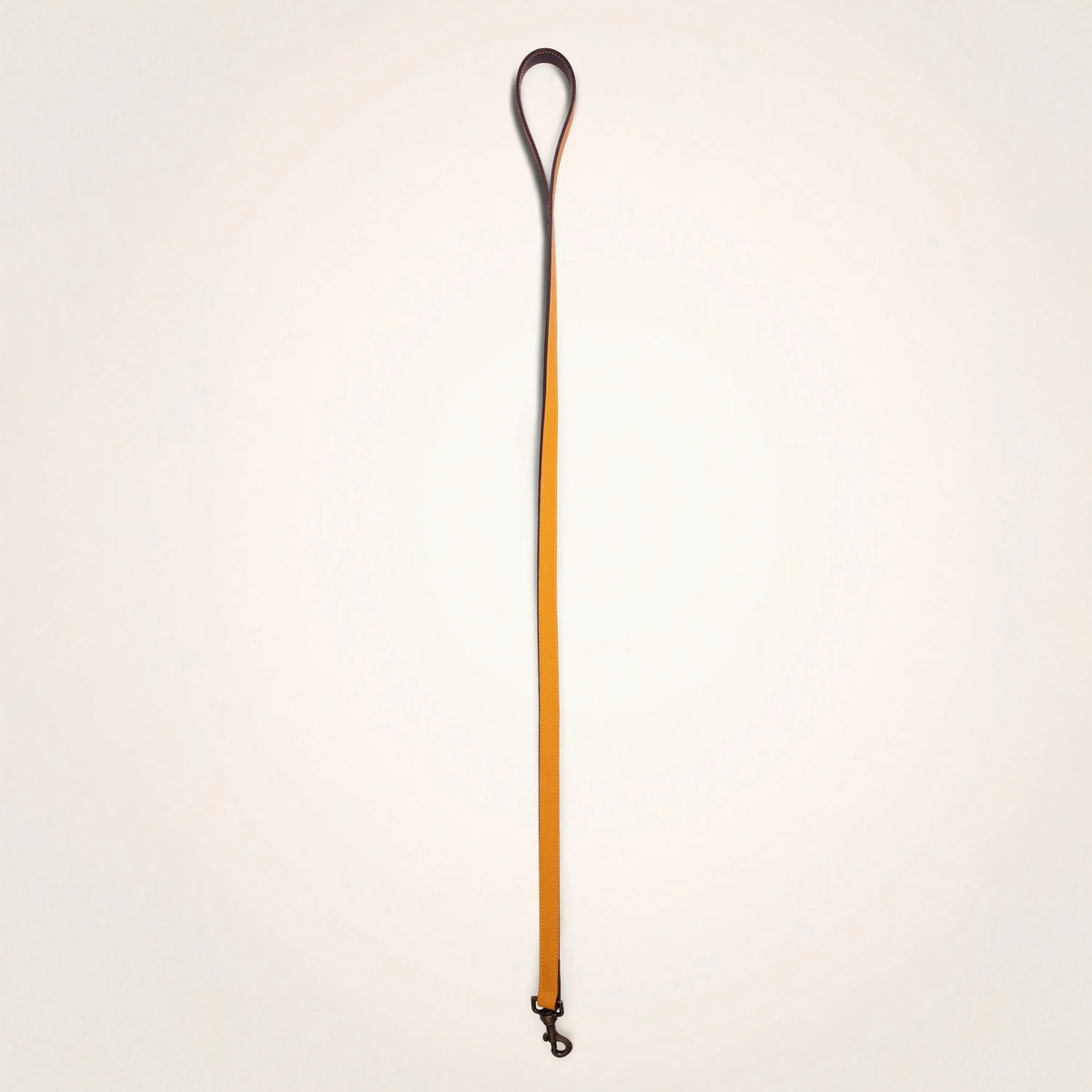 Correa de cuero de 95 cm con mosquetón
